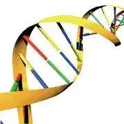 Gene therapy & Gene delivery