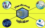 Nanobiotechnology and medical sciences