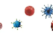 Viral nanoparticles (VLPs)