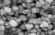 Fabrication of zinc oxide micro-flowers