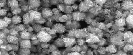 Fabrication of zinc oxide micro-flowers